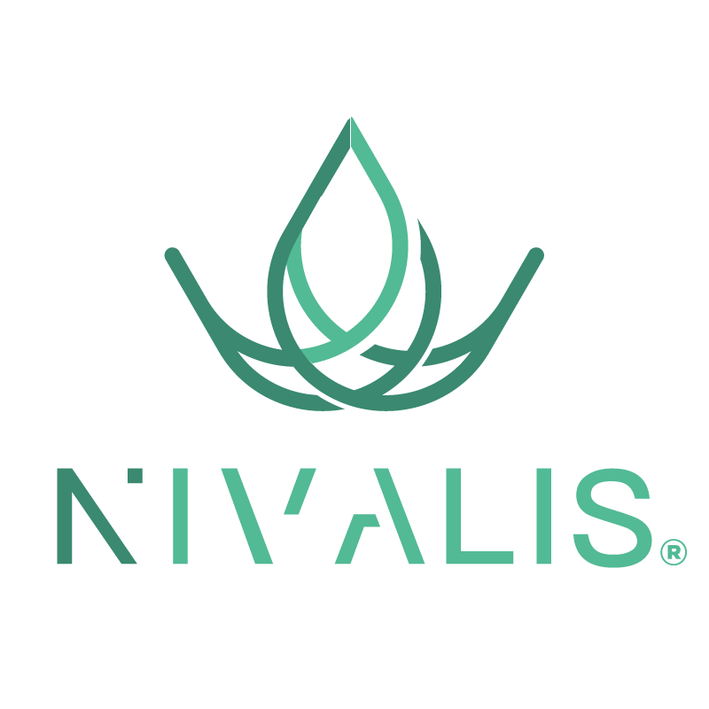 Nivalis Consultores